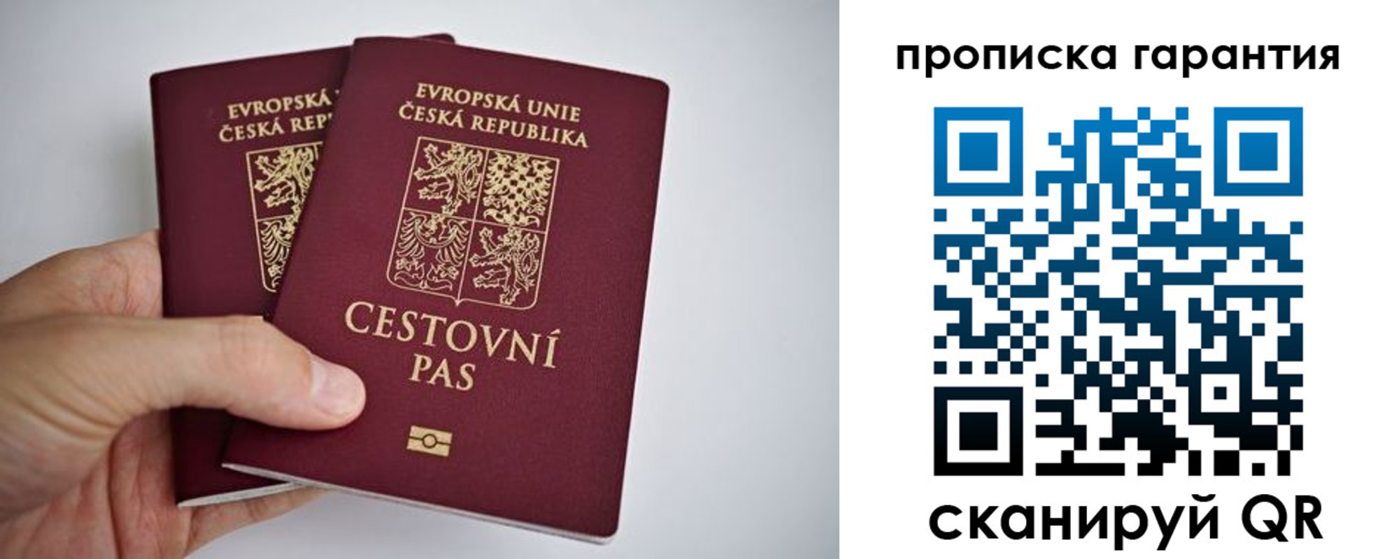 прописка в Сосновом Бору